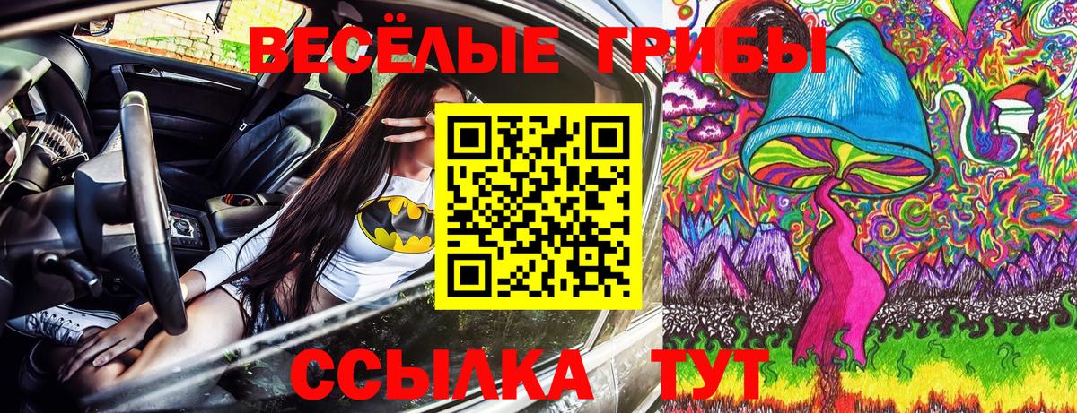 Уссурийск  Галлюциногенные грибы Cubensis  Вход с VPN 